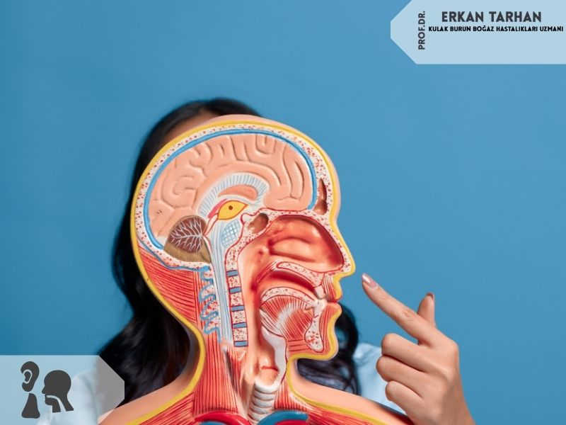 burun-icindeki-dikisler