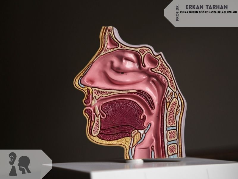 septum-deviasyonu-tanisi-nasil-konur.