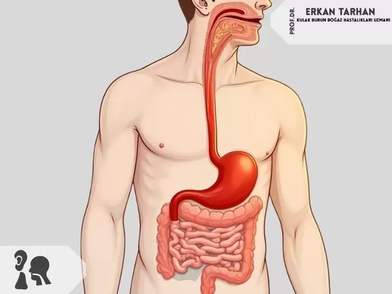 Laringofarengeal Reflü Ne Demektir? Nedenleri Nelerdir?